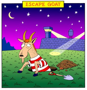 Escapegoat d9900991cb2e2a3a6c1474242a22dca6