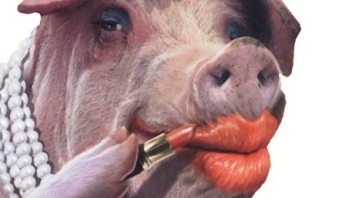 Lipstick on a pig