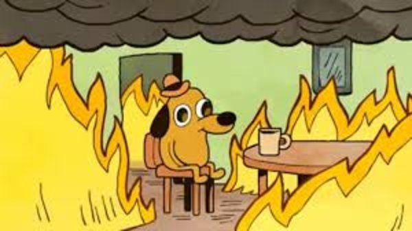 This is fine