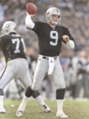 Lly joe hobart oakland raiders quarterback 300x400