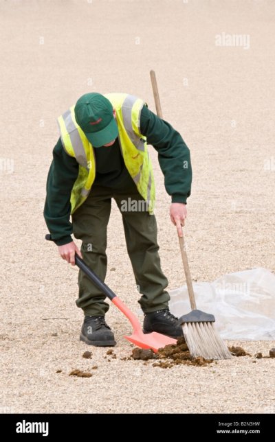 Ker shoveling horse manure whitehall london B2N3HW