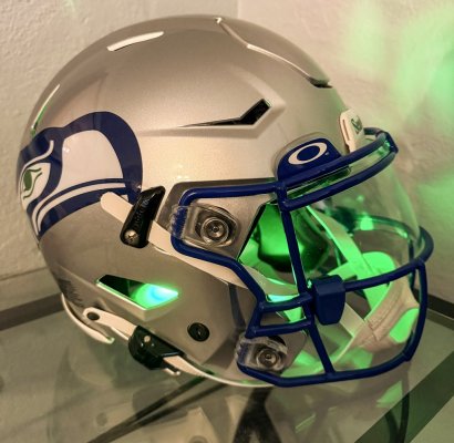 Helmet1