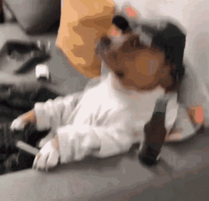 Dog beer