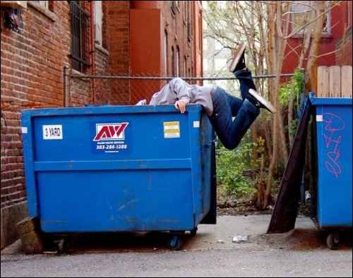 DumpsterDive