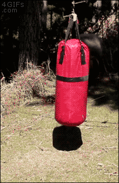 Ram demos a punching bag