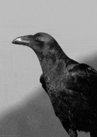 200