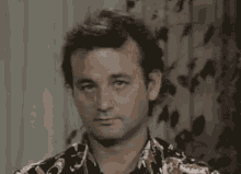 Bill murray laugh Bill murray laugh