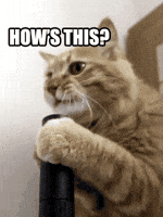 200