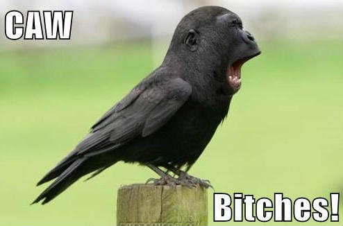Caw Bitches