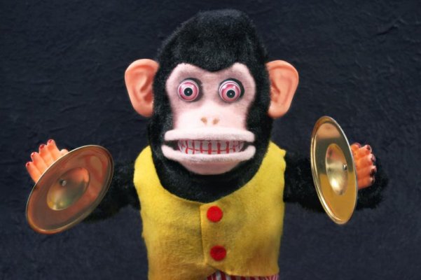 286434 800x533 monkey with cymbals