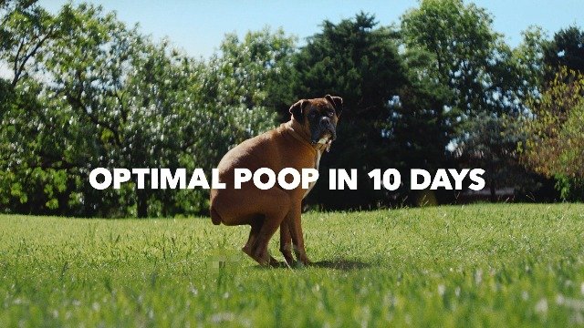 1000000930