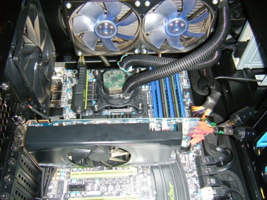 CPGuts2