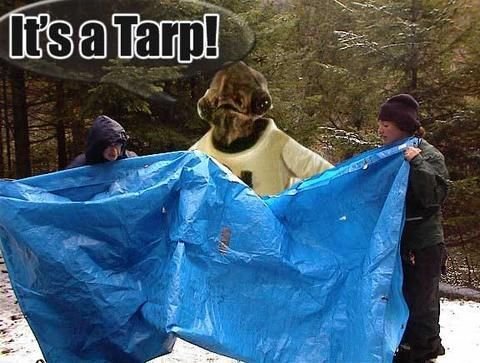 Tarp 30198