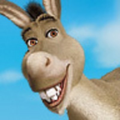 Donkey