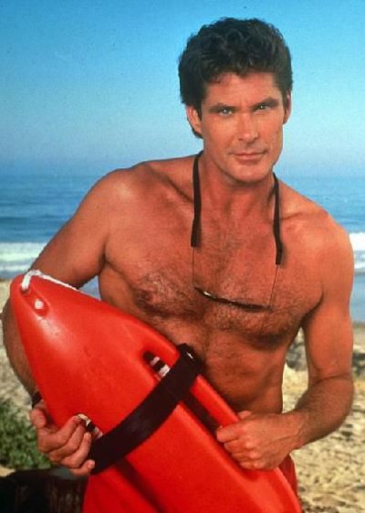 David hasselhoff lt mitch buchannon z