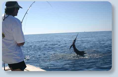 FishOn R FishOn R