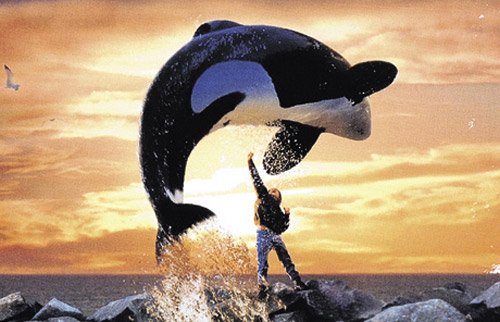 Free willy 500x322