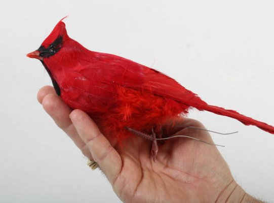 9 artificial bright red feathered cardinal bird 2