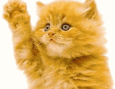 Waving goodbye kitty