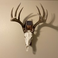 stack55