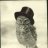 A London Hawk